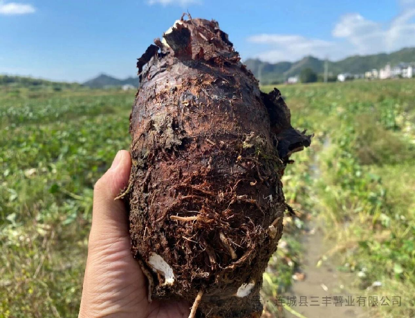 Mùa màng bội thu!