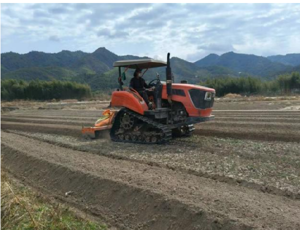 Gieo hạt mùa xuân mang đến hy vọng, giúp đất đai hồi phục sức sống.